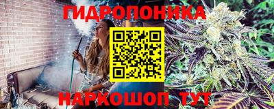 a pvp Ижевск