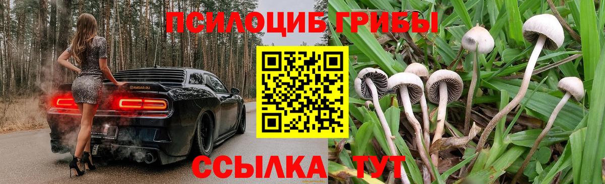 Новый Уренгой  Псилоцибиновые грибы мухоморы  Галлюциногенные грибы GOLDEN TEACHER  Вход с VPN 